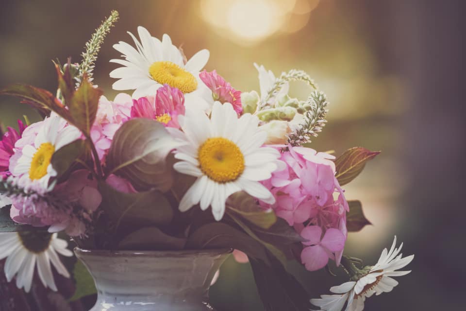 Roses arranged closely in a clear glass vase